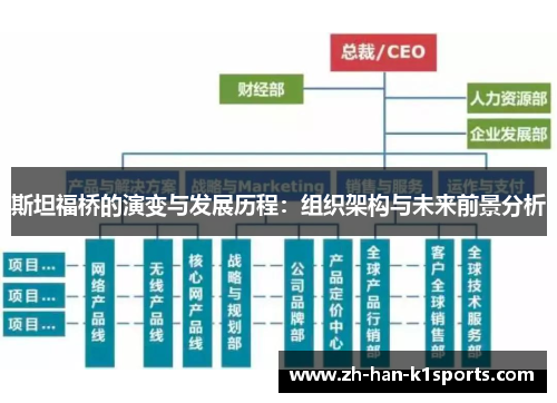 斯坦福桥的演变与发展历程:组织架构与未来前景分析 斯坦福桥的演变与发展历程:组织架构与未来前景分析