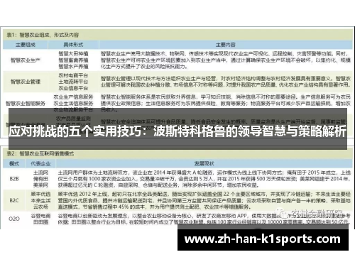应对挑战的五个实用技巧:波斯特科格鲁的领导智慧与策略解析 应对挑战的五个实用技巧:波斯特科格鲁的领导智慧与策略解析